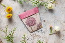 Everlasting Daisy Gift of Seeds (Australia Only)