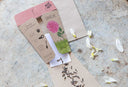 Dahlia Gift of Seeds (Australia Only)
